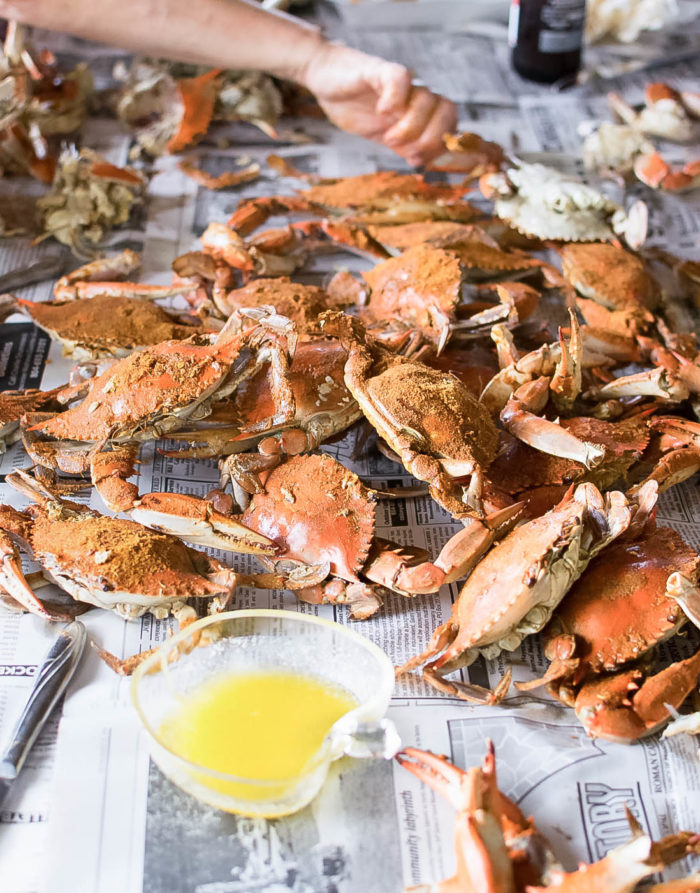 Old Bay Steamed Crabs in Virginia