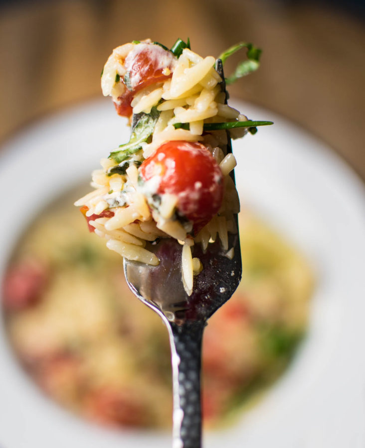 Orzo with Grape Tomatoes and Fresh Mozzarella Carolyn's Cooking