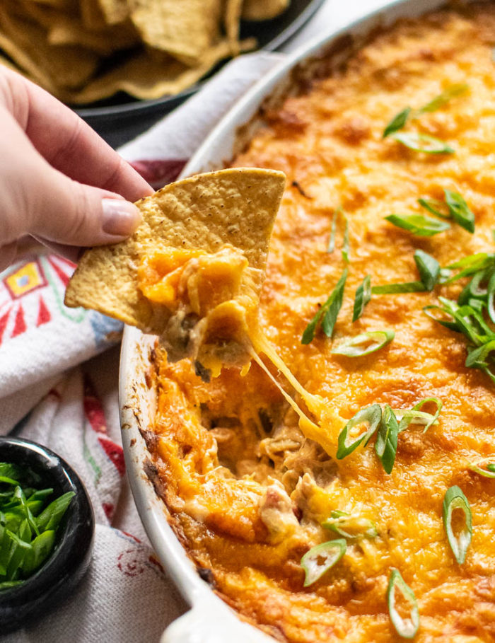 Mexican Shredded Chicken Dip 